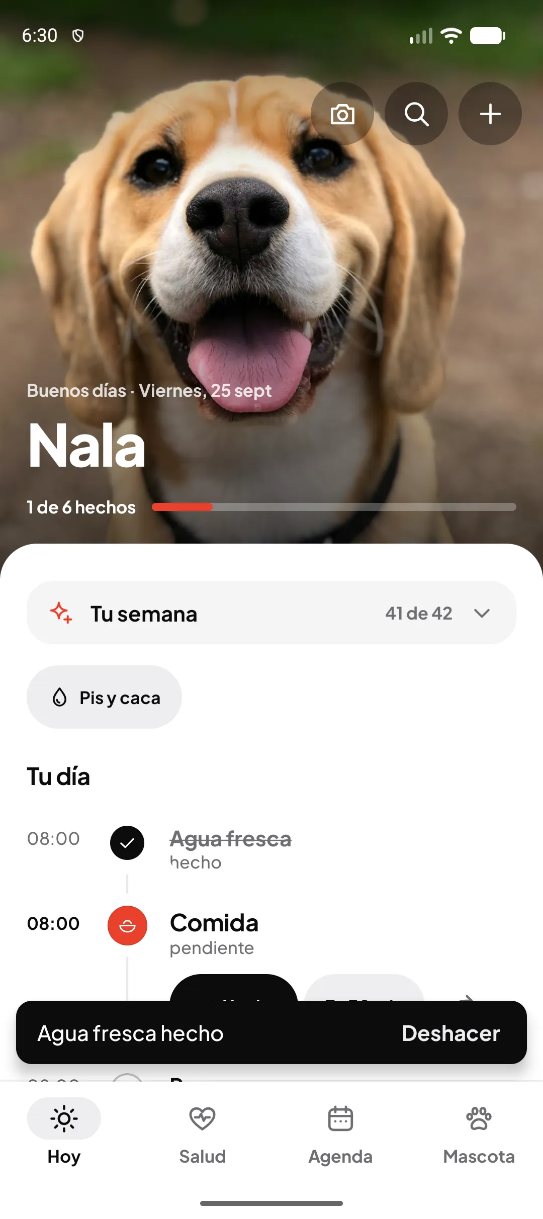 Pantalla Hoy de Miloop con una tarea marcada como hecha