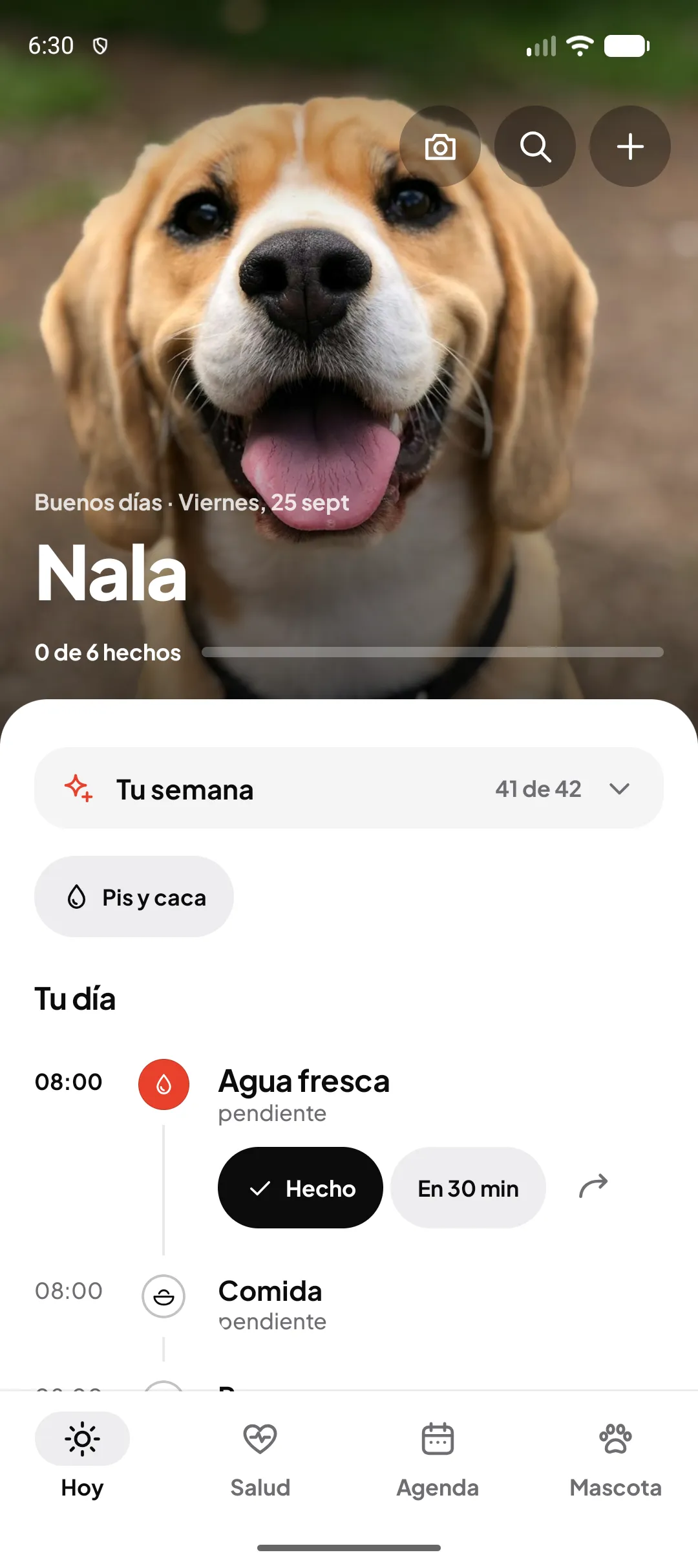 Pantalla Hoy de Miloop